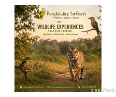 Top Wildlife Tour Operator in India for Tiger Safaris, Birding & Nature Tours 