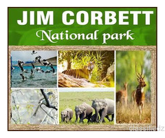 Corbett National Park Package 2 Nights 3 Days INR:6900/-