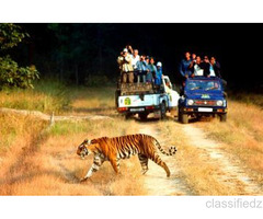 Corbett National Park Package 2 Nights 3 Days INR:6900/-