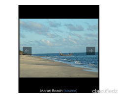 An opportunity to get best services for Hotels in Alleppey 