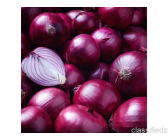 Best Red Onion Suppliers in Maharashtra