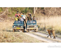 Enjoy with Your Kids at Jim Corbett Wildlife Tour Packages