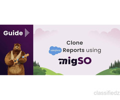 Clone Reports in Salesforce