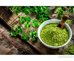 Moringa Leaf Powder Suppliers in Kenya