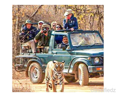What Makes the Bijrani Safari Zone So Popular Among Travelers?