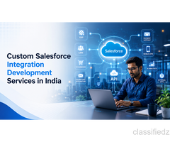 Custom Salesforce Integration Development Services in India 
