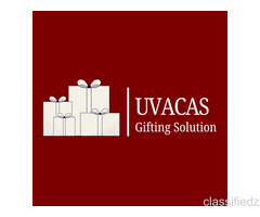 Premium Executive Gifts in Lodha Amara Maharashtra | Corporate Gift Store
