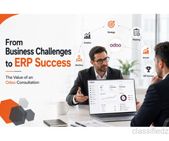 From Business Challenges to ERP Success: The Value of an Odoo Consultation