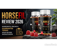 Horsefil 2026