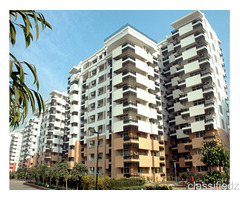 Rental Properties On MG Road In Gurgaon | Luxury Homes