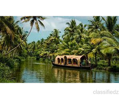Enjoy with your kids at Wildlife Tour packages kerala
