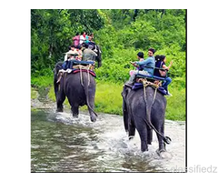 Why Choose a Dooars Tour with Jaldapara Elephant Safari?