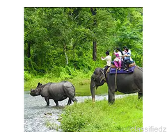 Why Choose a Dooars Tour with Jaldapara Elephant Safari?