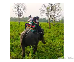 Why Choose a Dooars Tour with Jaldapara Elephant Safari?