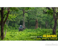 Why Choose a Dooars Tour with Jaldapara Elephant Safari?