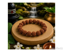 Shop for 7 Mukhi Rudraksha Bracelet Today