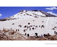 Manali Delights with Apple Country