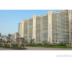 DLF The Magnolias Gurgaon | Luxury Homes For Sale