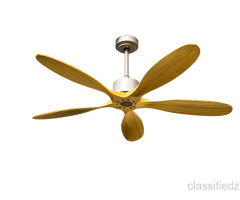Premium BLDC Ceiling Fan