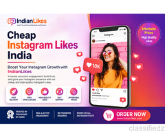 Cheap Instagram Likes India - IndianLikes