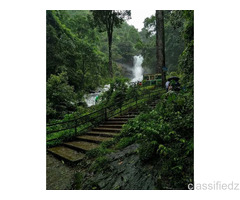 Best offers on Eco Tour packages in coorg
