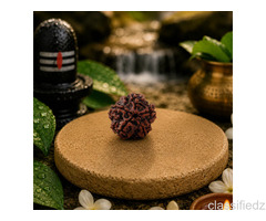 Buy 5 Mukhi Rudraksha at Great Value