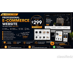 Complete Ecommerce Website + Hosting + SSL + Support - Only $299