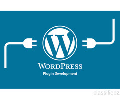 Custom WordPress Plugin Development Services 