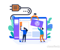 Custom WordPress Plugin Development Services 