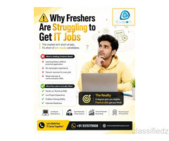 Why Are Freshers Struggling to Get IT Jobs?
