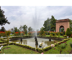 Srinagar Delights 4 Nights 5 days starting from 18000/- Per Person