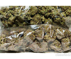 High Grade Medical Marijuana, Hash, BHO, HEMP OILS, THC OILS, Cannabis Oil FOR SALE