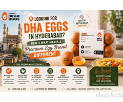 Looking for DHA Eggs in Hyderabad? Here’s What Makes a Premium Egg Brand Different