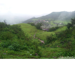 Seasonal trips with best Monsoon Tour packages in sapututara 