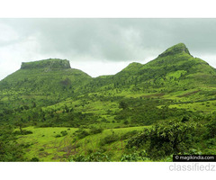 Seasonal trips with best Monsoon Tour packages in sapututara 