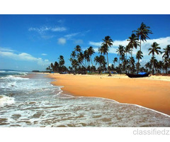 An opportunity to get best services for Hotels in Goa