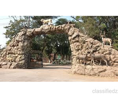 Enjoy with your kids at Wildlife Tour packages