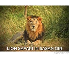 Enjoy with your kids at Wildlife Tour packages