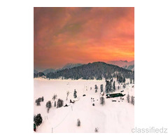 Customizes the tours according to the customers needs & requirement