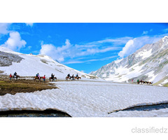 Customizes the tours according to the customers needs & requirement