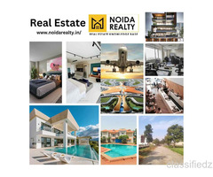 How can Noida Realty help with property investment?