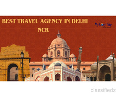 Where to Find the Best Travel Agency in Delhi NCR for Your Trip 