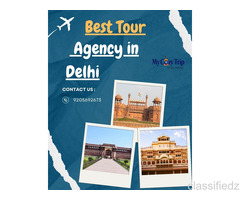 Plan Less, Travel More with the Best Tour Agency in Delhi 