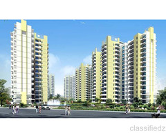 Flats in Amrapali Verona Heights Noida Extension