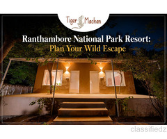 Ranthambore National Park Resort: Plan Your Wild Escape