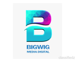 BigwigMediaDigital Reliable Website Development Company in Delhi for Every Business
