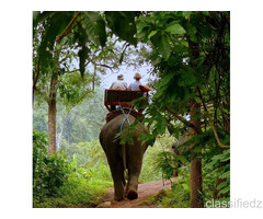 Plan Your Jim Corbett Trip Better With Smarter Booking Choices