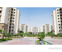 Are Amrapali Golf Homes apartments suitable for family living?