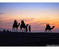 Affordable Rajasthan Tour Packages I Actually Compared