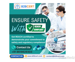   REACH Compliance Services in Egypt  